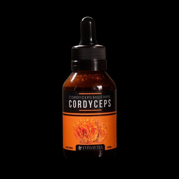 Cordyceps Militaris - Frasco de 60ml