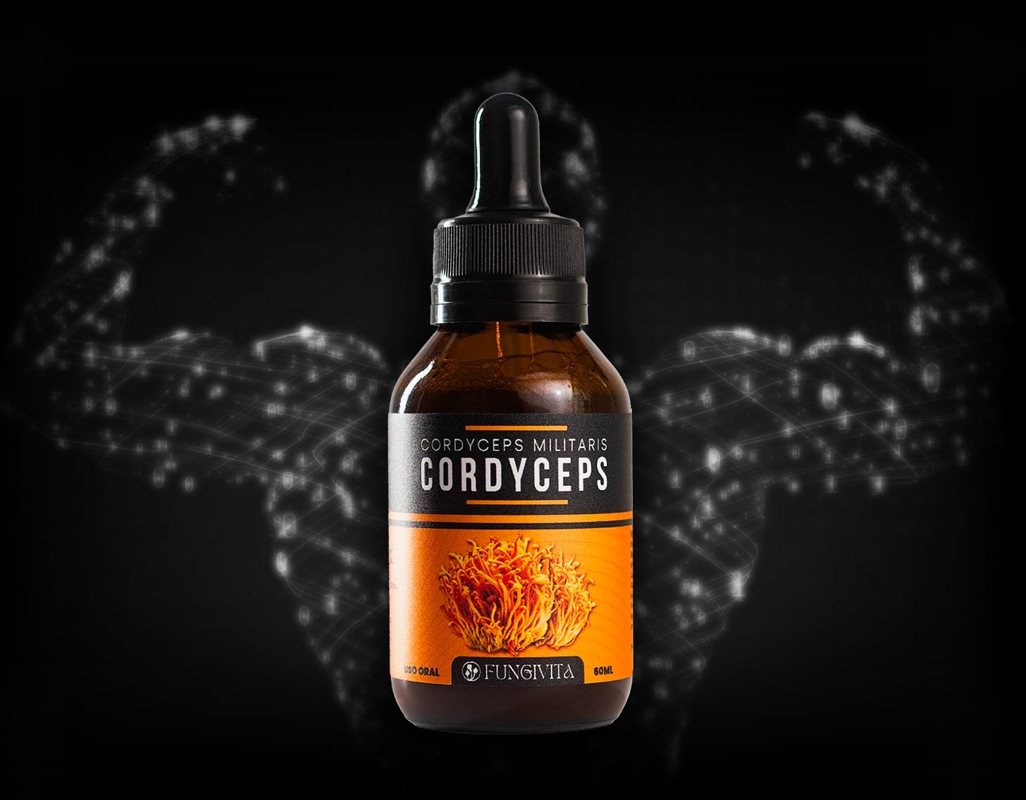 Cordyceps Militaris Cordyceps Militaris