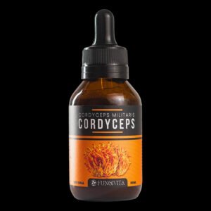 1x Cordyceps Militaris - Lerigou