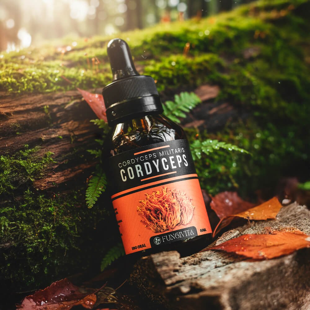 1x Cordyceps Militaris - Luanna 1x Cordyceps Militaris - Luanna - Imagem 2