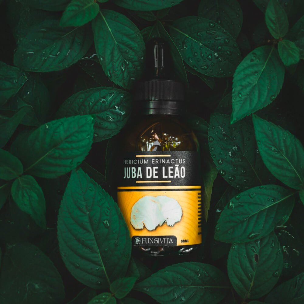 1x Juba de Leão + 1x Cordyceps Militaris - Lerigou 1x Juba de Leão + 1x Cordyceps Militaris - Lerigou - Imagem 3