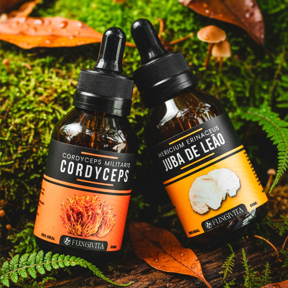 1x Juba de Leão + 1x Cordyceps Militaris - Lerigou 1x Juba de Leão + 1x Cordyceps Militaris - Lerigou - Imagem 2