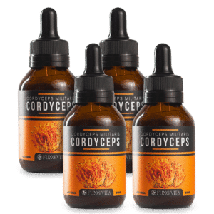 4x Cordyceps Militaris - Lerigou