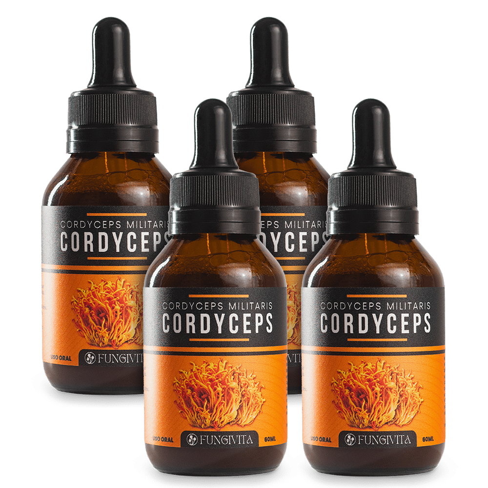 4x Cordyceps Militaris - Lerigou 4x Cordyceps Militaris - Lerigou